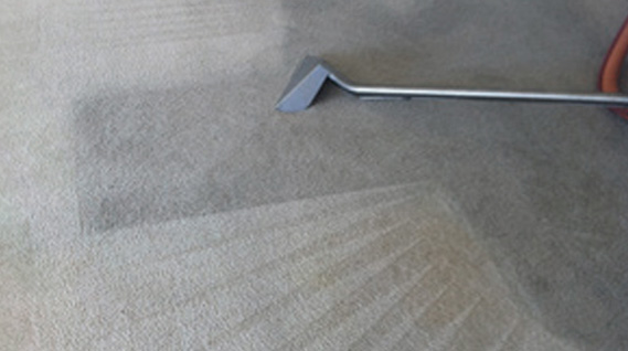 Commercial Deep Steam Carpet Cleaning